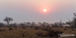 Kruger2015 20150910 BG8X9317 Satara Dawn 2x1